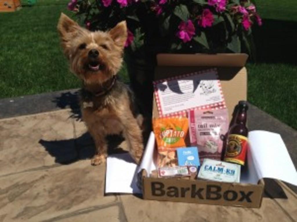 Read more about the article Barkbox Review + Coupon Code – June 2013