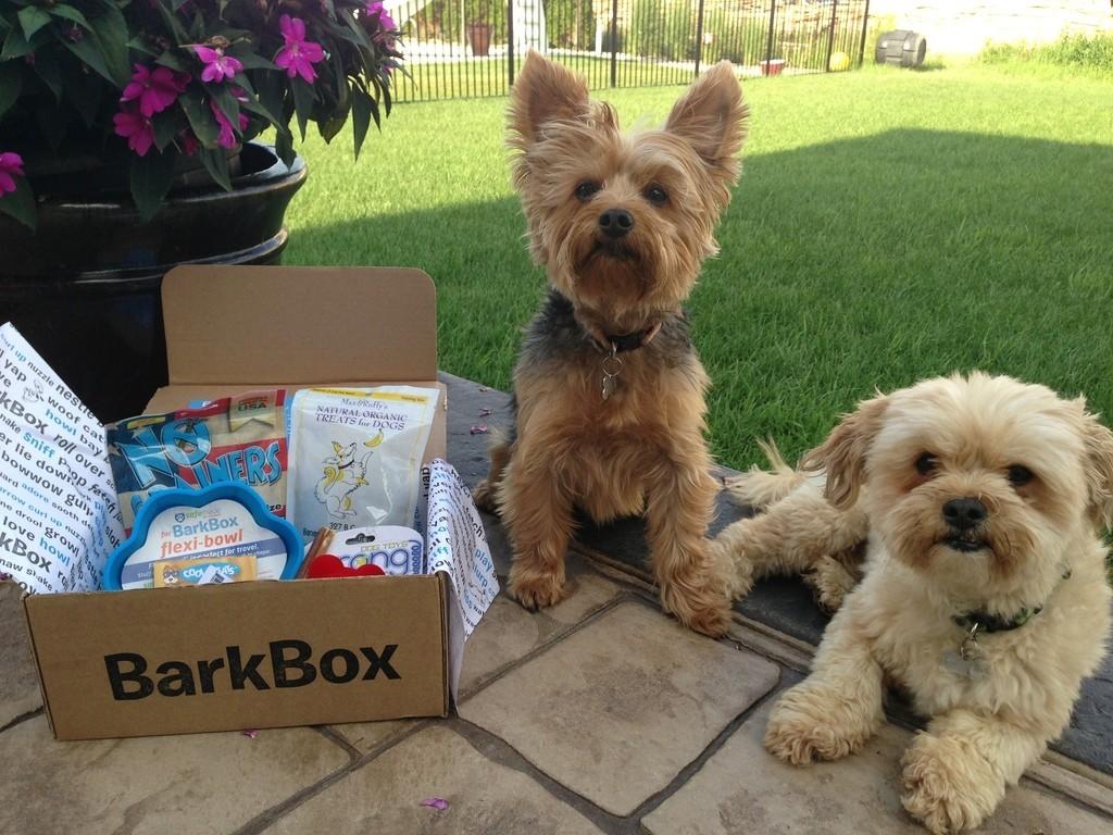 Barkbox Review + Coupon Code – July 2013