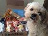 BarkBox Review + Coupon Code – October 2013