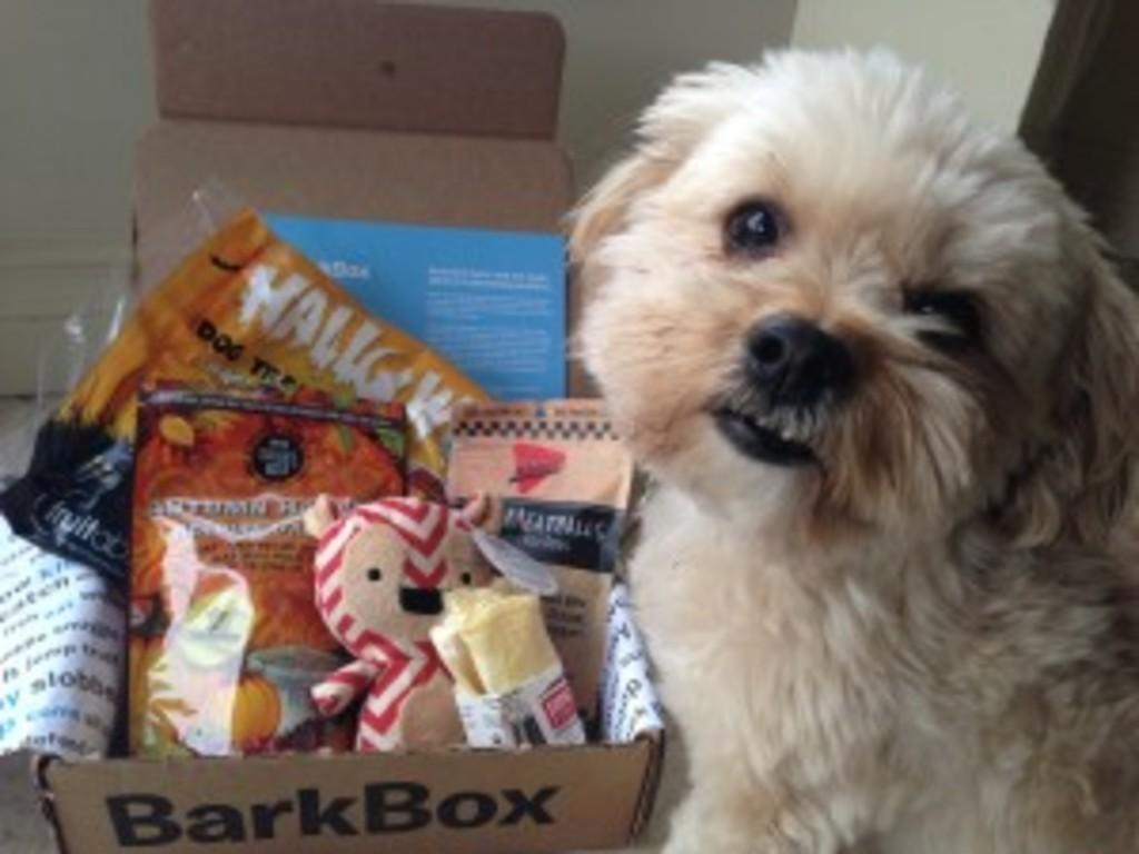 Read more about the article BarkBox Review + Coupon Code – October 2013