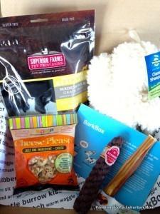 Read more about the article Barkbox Review + Coupon Code – February 2014