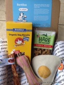 Read more about the article BarkBox Review + Coupon Code – March 2014