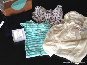 Read more about the article Stitch Fix Review – July 2014