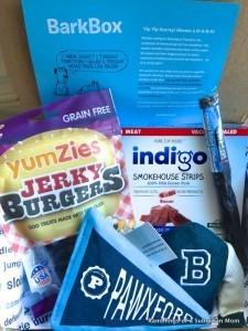 Read more about the article Barkbox Review + Coupon Code – September 2014
