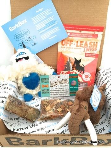 Read more about the article Barkbox Review + Coupon Code – January 2015