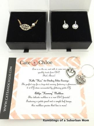 February 2015 Cate & Chloe Subscription Review