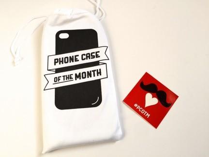 Phone Case of the Month February 2015 Subscription Box Reviews