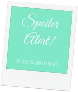 Read more about the article Yogi Surprise January 2017 Subscription Box Sneak Peek / Spoilers!