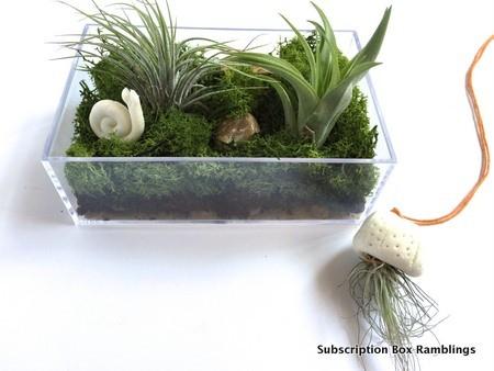 Doodle Crate May 2015 Subscription Box Review - "Terrarium Landscaping" + 50% Off Coupon Code