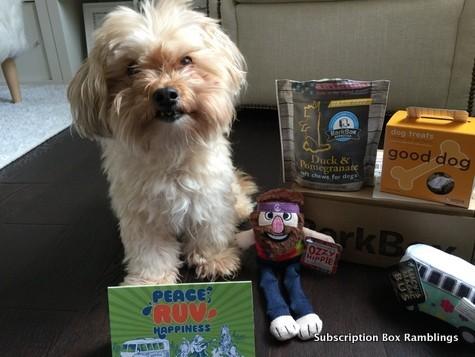 Read more about the article BarkBox Review + Coupon Code – January 2016