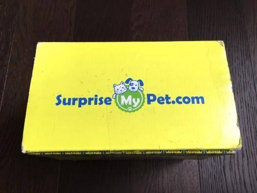 Surprise My Pet February 2016 Subscription Box Review