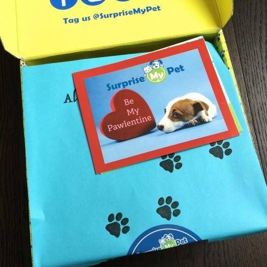 Surprise My Pet February 2016 Subscription Box Review