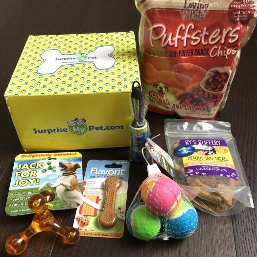 Surprise My Pet February 2016 Subscription Box Review