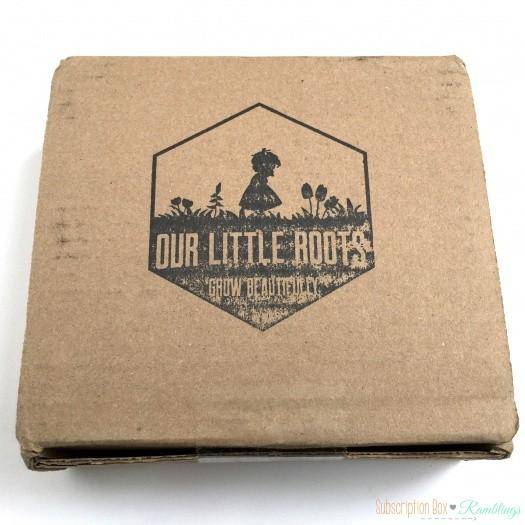 Our Little Roots February 2016 Subscription Box Review