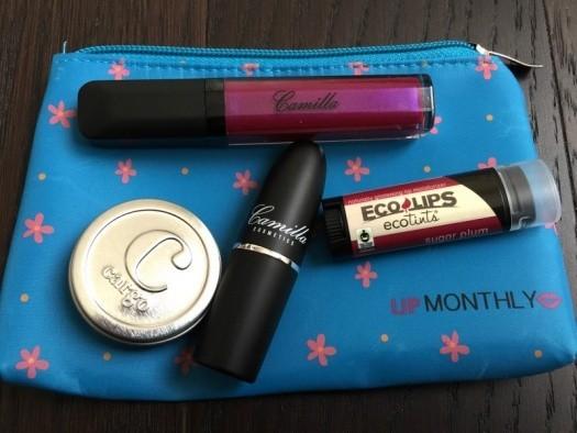 Read more about the article Lip Monthly Review + Coupon Code – March 2016