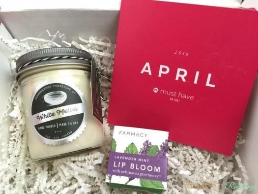 Read more about the article POPSUGAR Must Have Mini April 2016 Subscription Box Review
