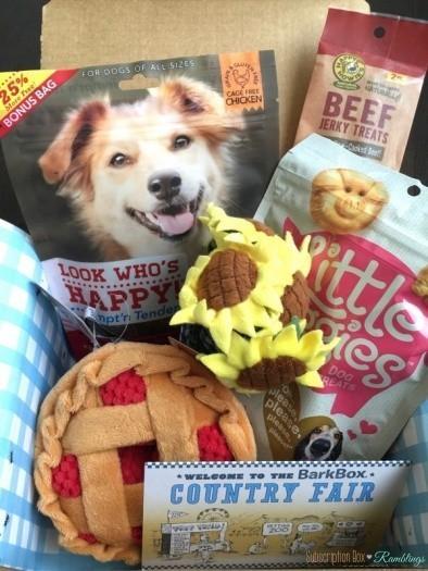 Read more about the article BarkBox Review + Coupon Code – May 2016
