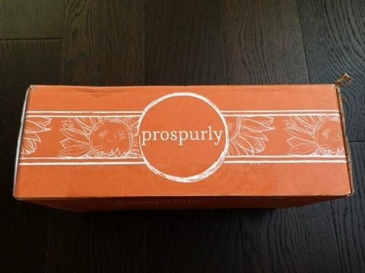 Prospurly May 2016 Subscription Box Review + Coupon Code