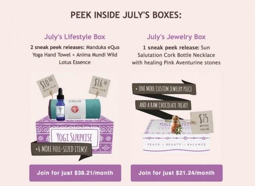 Yogi Surprise July 2016 Subscription Box Sneak Peek / Spoilers!