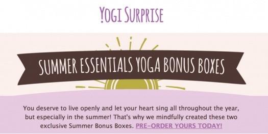 Yogi Surprise Summer Essentials Yoga Bonus Boxes