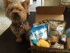 BarkBox – Free Month with 6 or 12-Month Subscription!