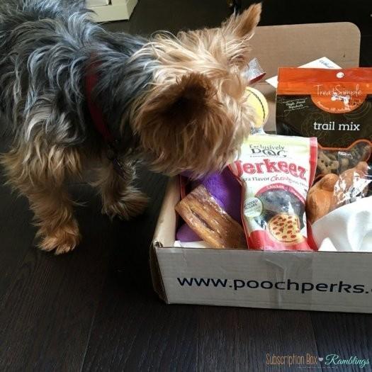 Read more about the article Pooch Perks September 2016 Subscription Box Review + Coupon Code