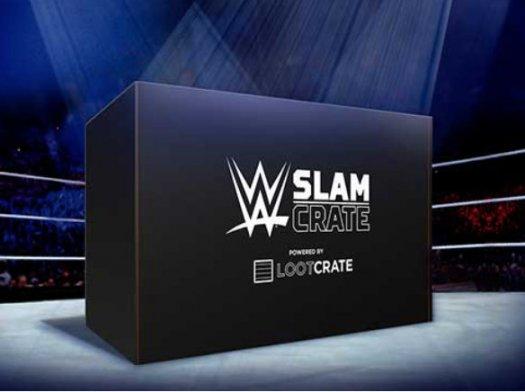 Read more about the article Loot Crate WWE Slam Crate Spoilers!