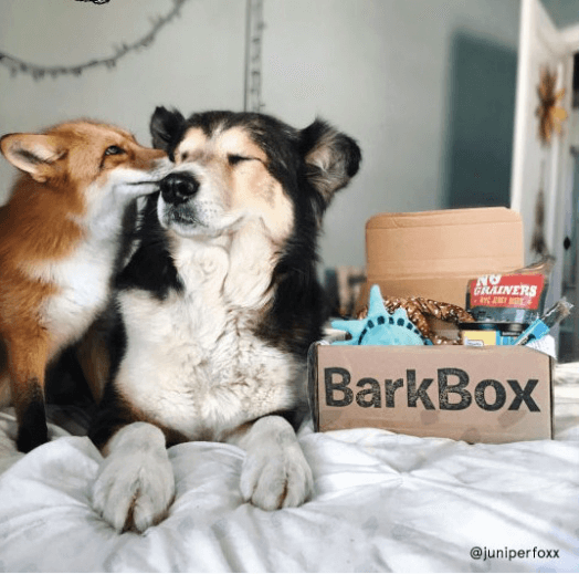 BarkBox First Box $5 or Extra Box Free!