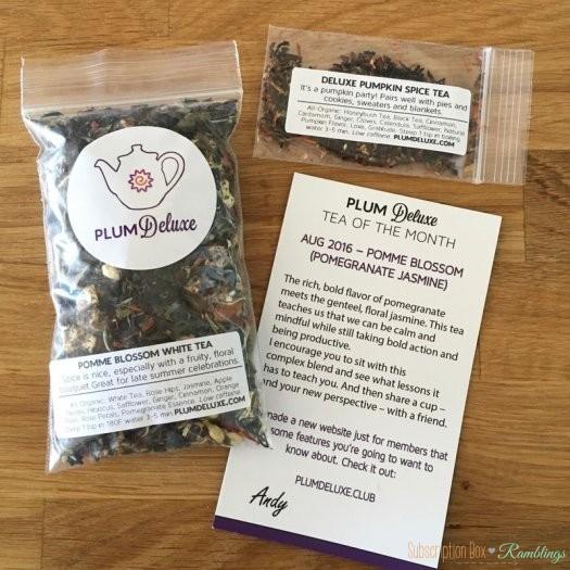 Read more about the article Plum Deluxe August 2016 Subscription Box Review