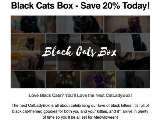 Read more about the article CatLadyBox – Save 20% Off!