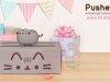 Pusheen Spring 2017 **Full Spoilers**