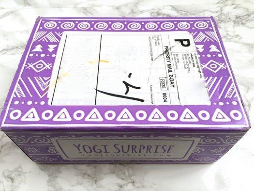 Yogi Surprise October 2016 Review + Coupon Code