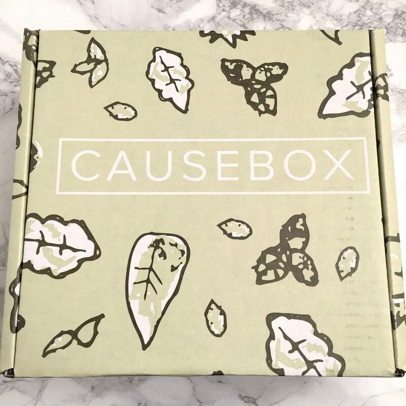 Read more about the article CAUSEBOX Giving Tuesday + Winter Box Spoiler!