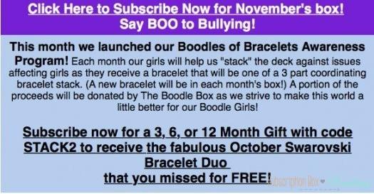 The Boodle Box Free Bracelet with November Box Purchase