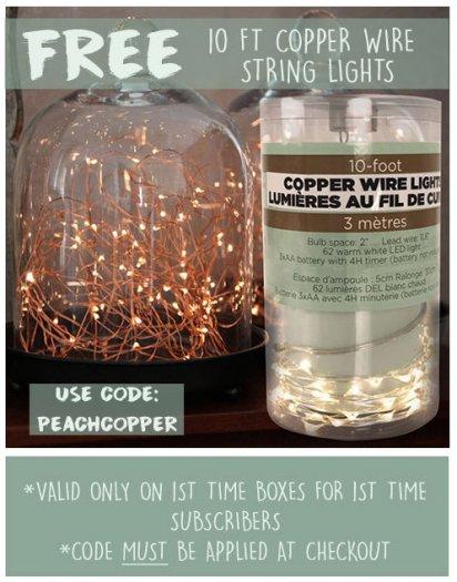 Peaches and Petals - Free Copper Wire Lights with New Subscriptions!