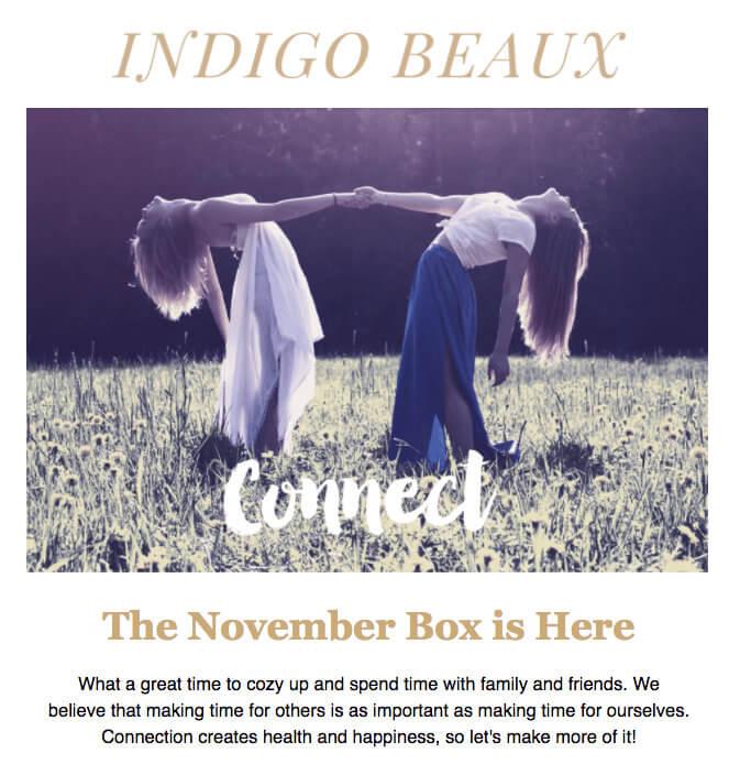 Read more about the article Indigo Beaux November 2016 Subscription Box Spoiler