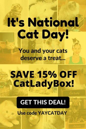 Read more about the article CatLady Box – 15% Off Coupon Code