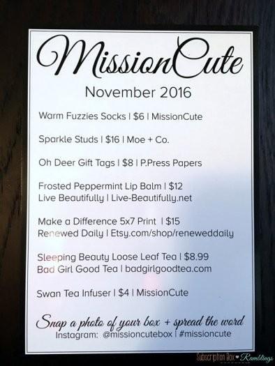 MissionCute Review - November 2016 Subscription Box