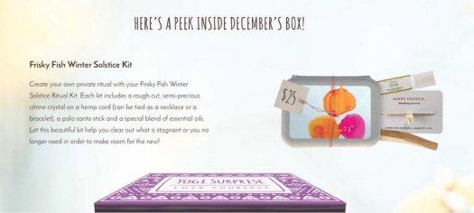Yogi Surprise December 2016 Subscription Box Sneak Peek / Spoilers!