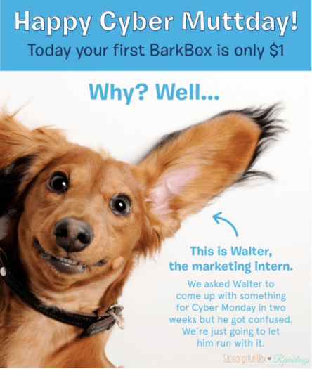 Read more about the article BarkBox – First Month for $1 on 6 or 12-month Plans!