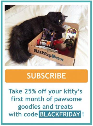 KitNipBox Black Friday Sale – 25% Off First Month!