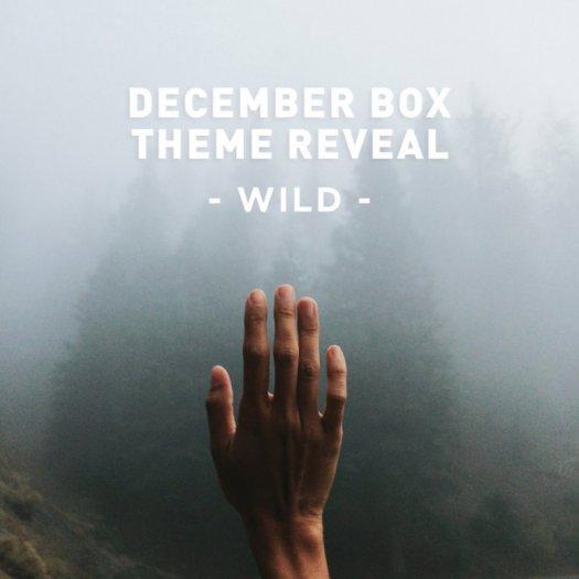 Read more about the article Craftly December 2016 Subscription Box Theme Reveal