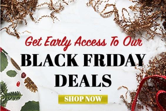 Read more about the article Hamptons Lane Black Friday Sale!