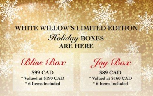 Read more about the article White Willow Box Holiday Boxes – On Sale Now!