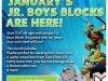 Nerd Block Jr. Boys January 2017 Spoilers!