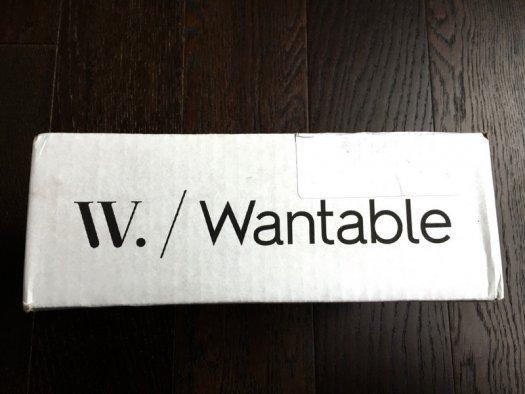 Wantable Intimates Review - December 2016 Subscription Box