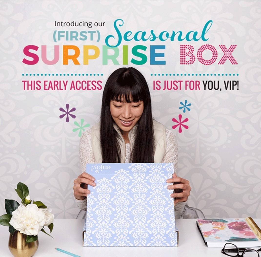 Read more about the article Erin Condren Seasonal Surprise Box