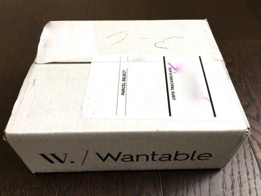 Wantable Intimates Review - January 2017 Subscription Box