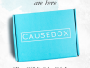 CAUSEBOX “Best of” Boxes – Still Available + Shipping Deadline!