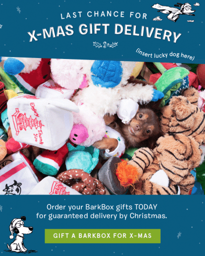 BarkBox - Last Call for Holiday Shipping!